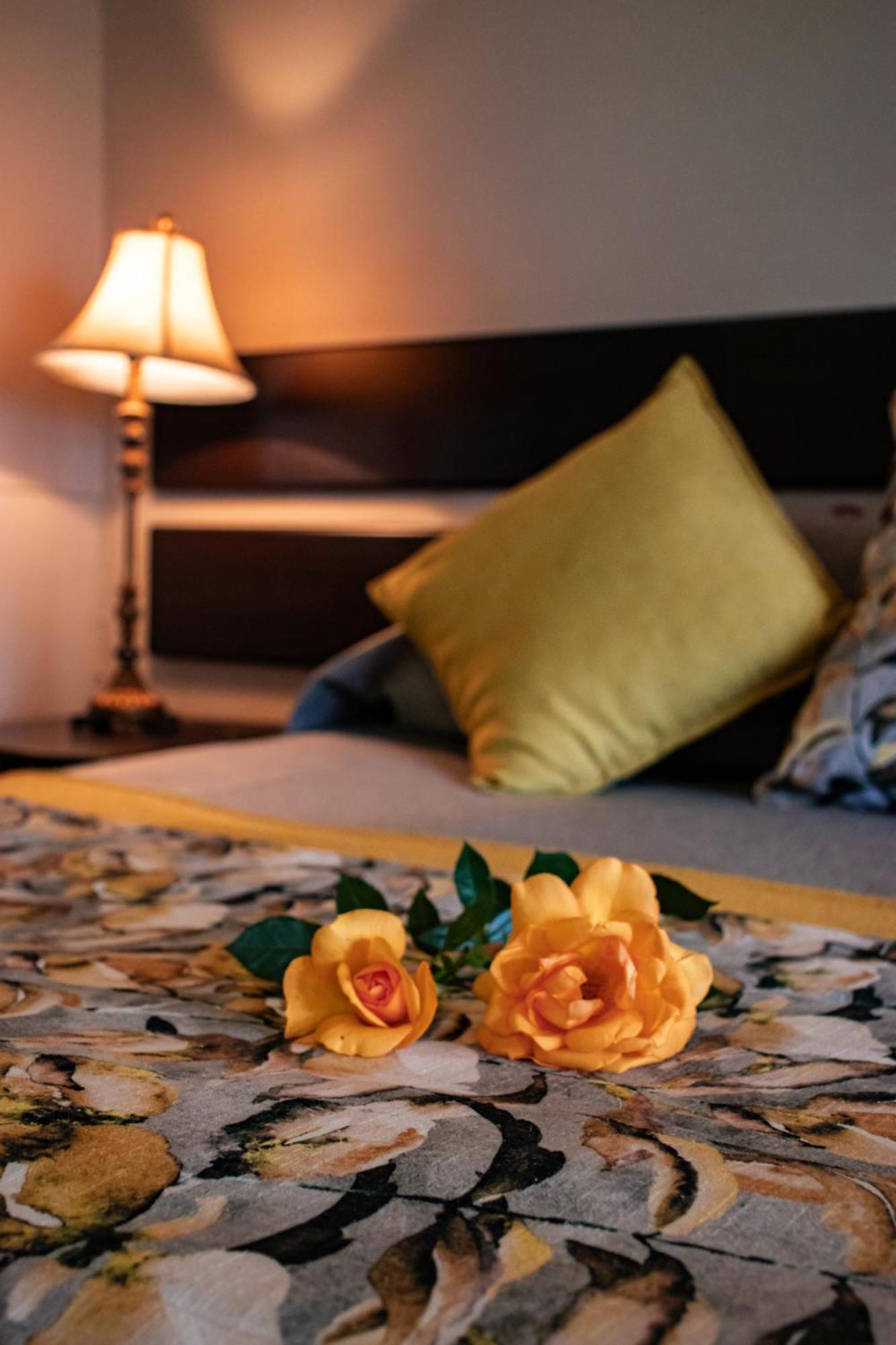 شقة Drakensview Self Catering وينترتون المظهر الخارجي الصورة